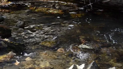 Stream between stones Video stock 104851186