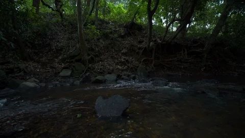 Stream between trees Stockbeeldmateriaal 90655136