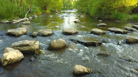 Stream between trees with rocks in the water Stock Footage