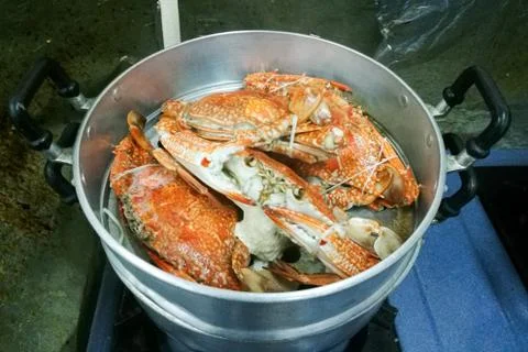 Stream big crabs on the pot Stock Photos