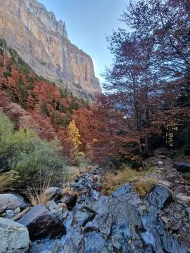 Stream blur Stock Photos