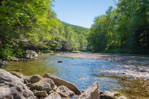 A stream bordered by forest in Vermont, USA. Stock Photos