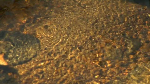 Stream bottom-Close Up (1080-24FPS).mp4 Stock Footage 10976820