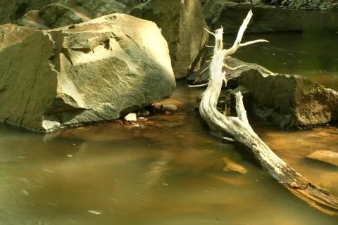Stream with boulder and log Stock Photos