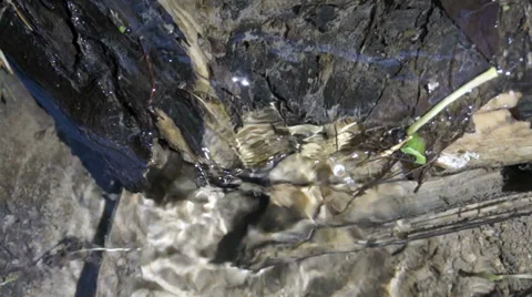 Stream breaks through a branch 库存影片 38706296