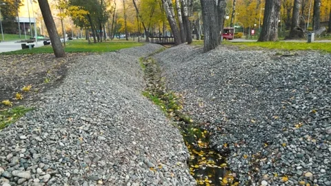 Stream with a bridge in the autumn park Stock Footage 204125511