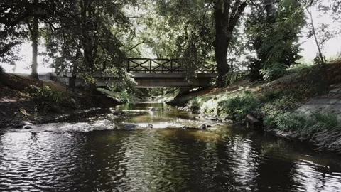 Stream with a bridge in the park between trees, sunny weather, 4k drone shooting 스톡 동영상 148092833