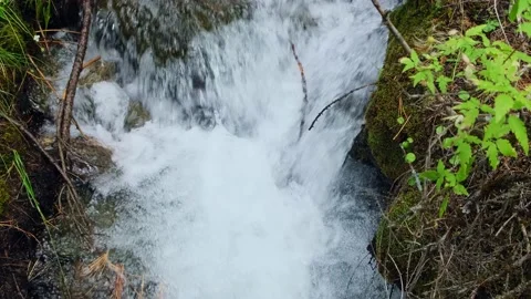 Stream bubbling and foaming. Stock Footage 221241975