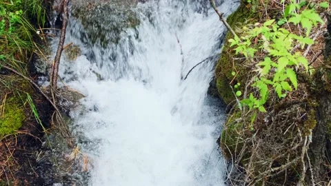 Stream bubbling and foaming. Stockbeeldmateriaal 236285798