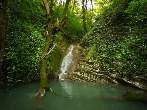 Stream in the canyon Stock Photos