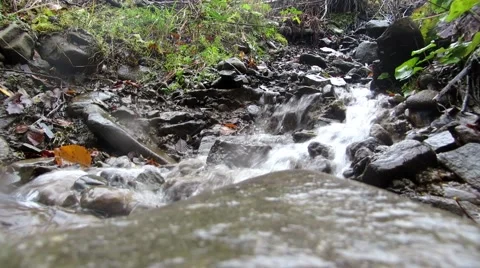 A stream Carpathian mountain Stock Footage 68712834