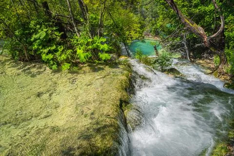 Stream cascading down from rocks, flowing in to turquoise lake, Plitvice Lake Stock Photos