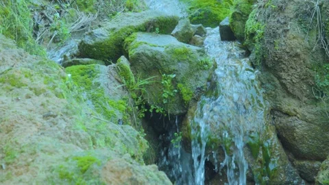 A Stream Cascading Over Mossy Rocks in a Lush, Tranquil Setting Stock Footage 280473663