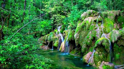 Stream Cascading Over Mossy Rocks in lush green Forest Stock Footage 316311081