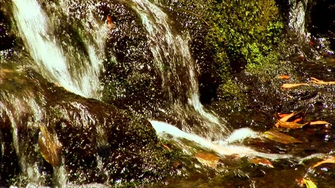Stream cascading over rocks close up Stock Footage 86918798