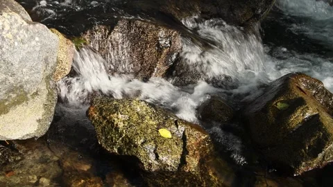 Stream cascading over rocks in closeup Stock Footage 311127182