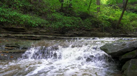 Stream cascading over rocks in Valley Stock-Footage 54563821