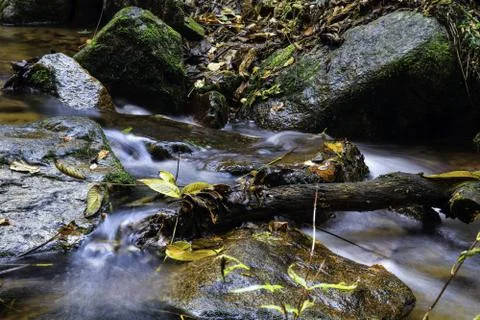 Stream of Changbai mountain Stock Photos
