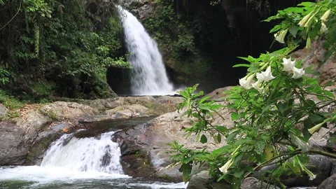 The stream of Cidor Waterfall Stock Footage 277418845