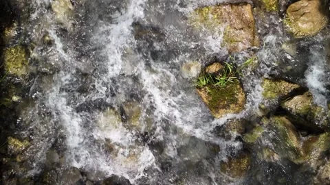 Stream of clean mountain creek cold river water up close, pebble stones Stock Footage 284964815