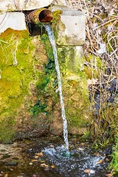 Stream of clean spring water Fotos de archivo