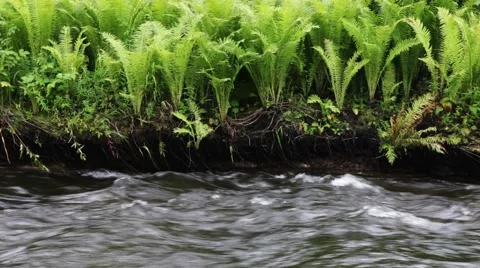 Stream of clean water Stock Footage 44723372