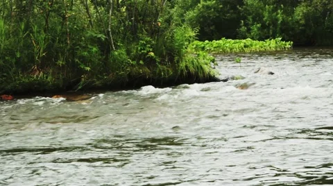 Stream of clean water Stock Footage 44723373