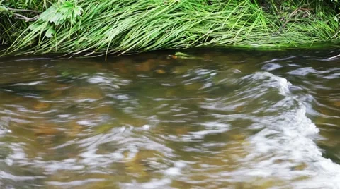 Stream of clean water Stock Footage 44723435