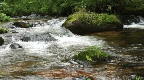 Stream of clean water Stock Footage 44723470