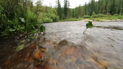 Stream of clean water Stock Footage 44723473