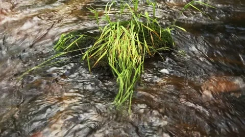 Stream of clean water Stock Footage 44723489