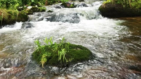 Stream of clean water Stock Footage 44723515