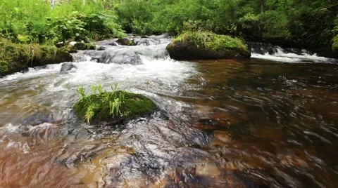 Stream of clean water Stock Footage 44723527