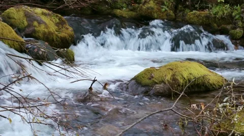 Stream of clean water Stock Footage 44723542