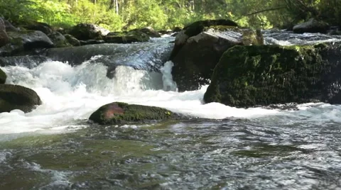 Stream of clean water Stock Footage 44723555