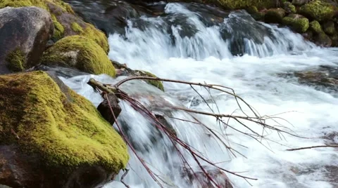 Stream of clean water Stock Footage 44723577