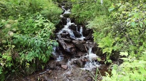Stream of clean water Stock Footage 44723640