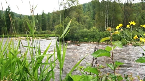 Stream of clean water Stock Footage 44723679