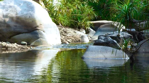 Stream clean water in river flowing between large stones and boulders. Plants Stock Footage 90896791