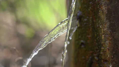 Stream of clean water from spring flows from an iron pipe Stock Footage 170300018