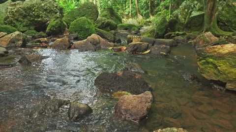 Stream of clear water between green stones Stock Footage 331762636