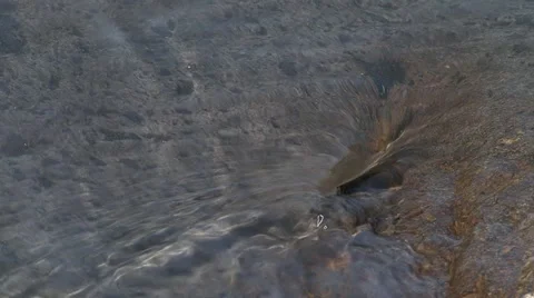 Stream with clear water Stock Footage 52071757