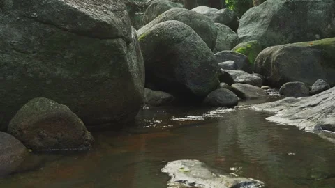 Stream of clear water over huge jungle stones Stock Footage 332100154