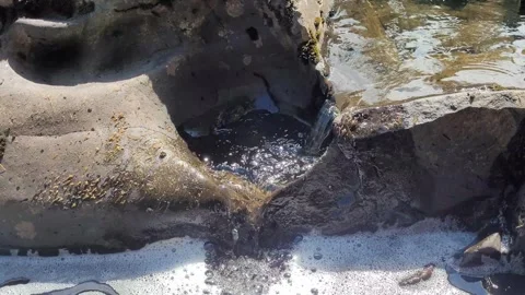 Stream of clear water trickling down rock formation into foamy pool Video stock 343588185