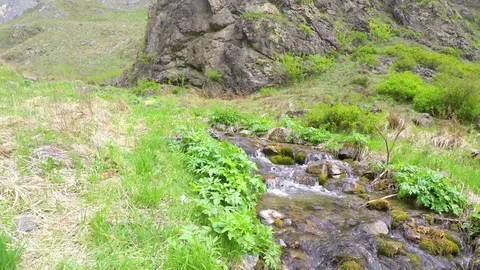 Stream Cliff herb Gorge mountains Stock Footage 75807012