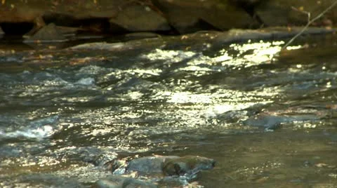 Stream Close Up (1080-24FPS).mp4 Stock Footage 10975822