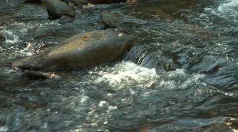 Stream - Close Up (1080-24FPS).mp4 Stock Footage 10975824