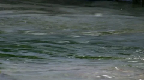 Stream Close Up 2 Stock Footage 25891173