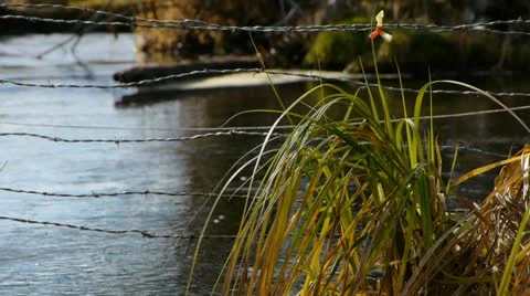 Stream close up barbed wire fence foreground Video stock 22062779