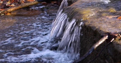 Stream Up Close Stock Footage 73273958